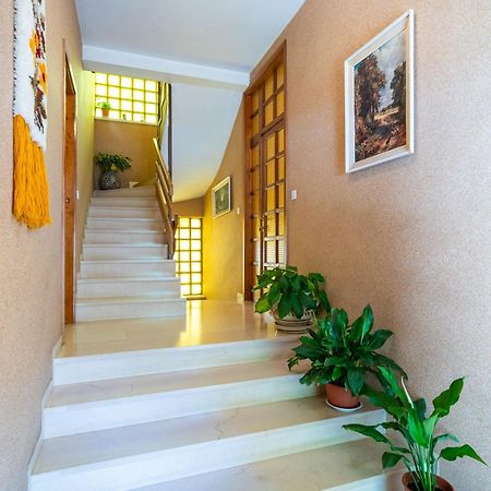 Apartments Villa Ivka Dubrovnik Dış mekan fotoğraf