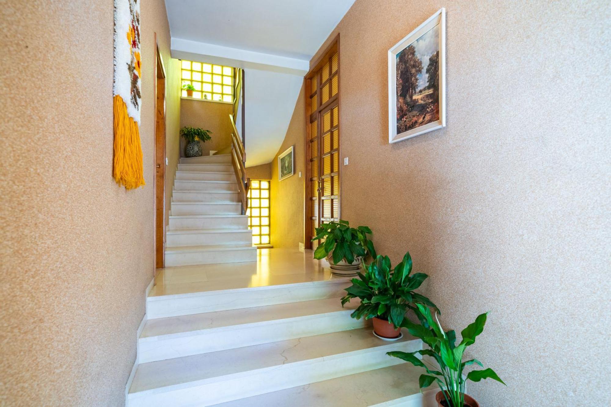 Apartments Villa Ivka Dubrovnik Dış mekan fotoğraf